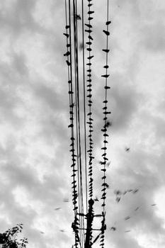 �˿��Ʊ������ô����Ƶ����������Ա�������ս���̫ԭ ������ί���...